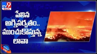 విశేష అందిస్తున్న ఆరోగ్యసేతు యాప్… టీకా తీసుకుంటే వెంటనే ఇలా కనిపిస్తుంది.. ( వీడియో )