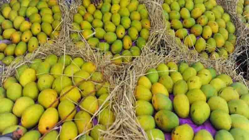 Corona Effect on Mangoes: మామిడి పంటపై కరోనా ప్రభావం.. కొనేవారు లేక కుదేలవుతున్న మామిడి రైతులు..!
