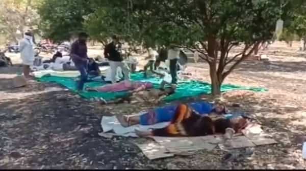 Viral Video : అత్యంత దారుణం.. చెట్ల కిందే కరోనా రోగులకు చికిత్స..! అవస్థలు పడుతున్న బాధితులు..?