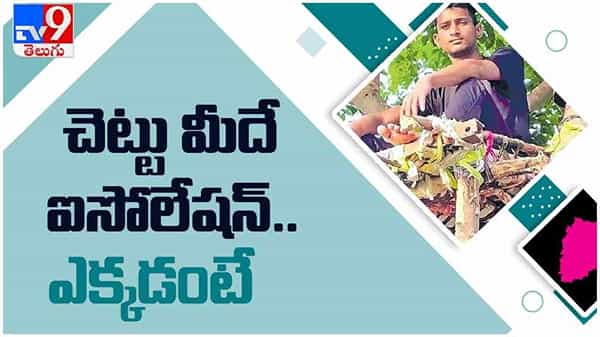 Viral Video: చెట్టుపైనే ఐసోలేషన్ ఏర్పాటు చేసుకున్న యువకుడు... ( వీడియో )