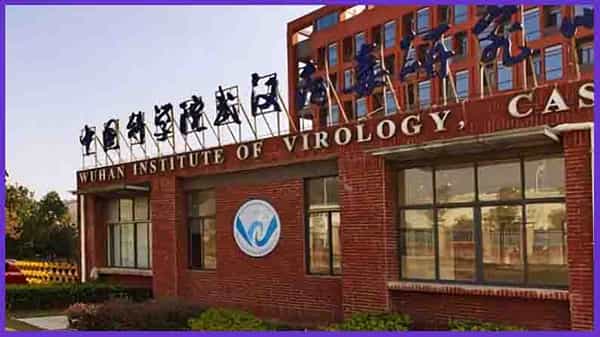 Covid-19 from Wuhan lab: కృత్రిమంగానే వైరస్ సృష్టి.. వుహాన్ ల్యాబ్ నుంచే కరోనా.. ‘డైలీ మెయిల్’ కథనంలో సంచలన నిజాలు