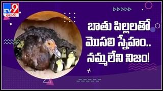 అదృష్టవంతురాలు.. ఒక్కక్షణం ఆలస్యమైనా అంతే సంగతులు ఇంక..!రెప్పపాటులో ప్రాణాలతో బయటపడ్డ మహిళా:Cyclone Tauktae viral video.