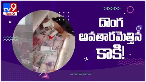 Viral Video: దొంగ అవతారమెత్తిన కాకి... డబ్బులు ఎత్తుకుపోతుంది... ( వీడియో )