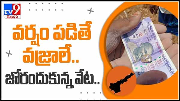 కర్నూలులో మరో రెండు వజ్రాలు లభ్యం..వర్షం పడితే వజ్రాలే.. జోరందుకున్న వేట : Diamonds In Kurnool Video