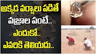 Viral Video: ఒంటి కాలుతో చిన్నారి పోరాటం.. చూసిన నెటిజన్ల కంట కన్నీరు.. వీడియో