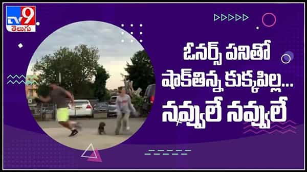 ఓనర్స్‌ పనితో షాక్‌తిన్న కుక్కపిల్ల...నవ్వులే నవ్వులే ..వైరల్ అవుతున్న వీడియో : Dog funny video viral.