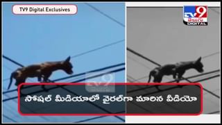 Viral Video : పెళ్లిరోజు వధువును చూసి షాకైన వరుడు..!కాబోయే వాడిని భ‌లే బురిడీ కొట్టించిన యువ‌తి.. ఆక‌ట్టుకుంటోన్న ప్రాంక్ వీడియో..