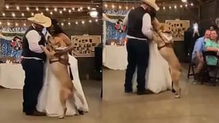 UFO Video: భూమిపైకి వ‌చ్చిన ఏలియ‌న్స్ యూఎఫ్‌వోలు..? వైర‌ల్ అవుతోన్న అమెరికాకు చెందిన రాడార్ వీడియో..