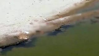 నీరవ్ మోడీ అప్పీలుకు అనుమతిపై లండన్ హైకోర్టు న్యాయమూర్తి నిర్ణయమే తరువాయి.. ఇప్పట్లో భారత్ కు అప్పగింత అనుమానమే