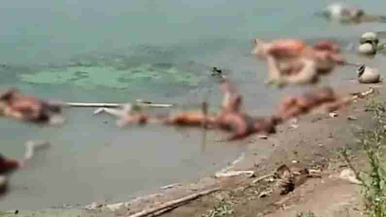 Ganga River: గంగా నదిలో కరోనా ఆనవాళ్లపై అధ్యయనం.. యూపీ, బీహార్‌లో పరిశోధనలు..