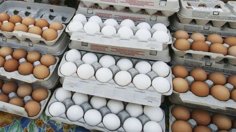Increased Egg Prices : కొండెక్కిన గుడ్డు ధర..! ఒక్కోటి 6 నుంచి 8 రూపాయలు..? ఎగ్ రేట్లు ఎందుకు పెరిగాయో తెలుసుకోండి..