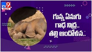 Viral Video: ఏటీఎంలో డబ్బును ఇలా కూడా డ్రా చేయొచ్చా…!! ( వీడియో )