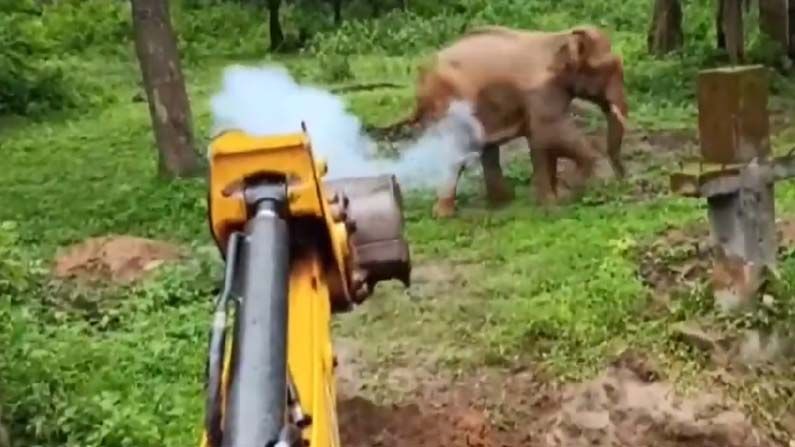 Elephant Rescued: గుంతలో పడిన ఏనుగును రక్షించిన అటవీ సిబ్బంది.. ఆ తర్వాత గజరాజు కోపంతో ఏం చేసిందంటే..? వీడియో