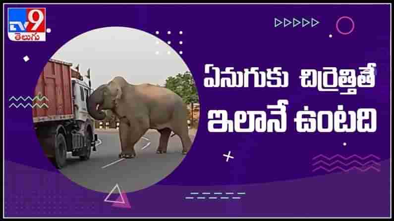 Elephant attacks truck video : ఏనుగుకు చిర్రెత్తితే ఇలానే ఉంటుంది..ట్రక్ డ్రైవర్ చేసిన పనికి సహనాన్ని కోల్పోయిన ఏనుగు..(వీడియో).