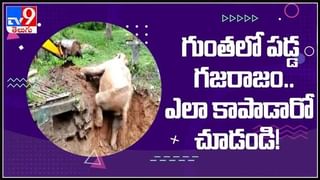 సినిమాటిక్ రేంజ్ లో కార్ ఆక్సిడెంట్.. చైనా కార్ గాల్లోకి లేచి పల్టీలు కొడుతూ షాకింగ్ వీడియో : Car accident viral video..