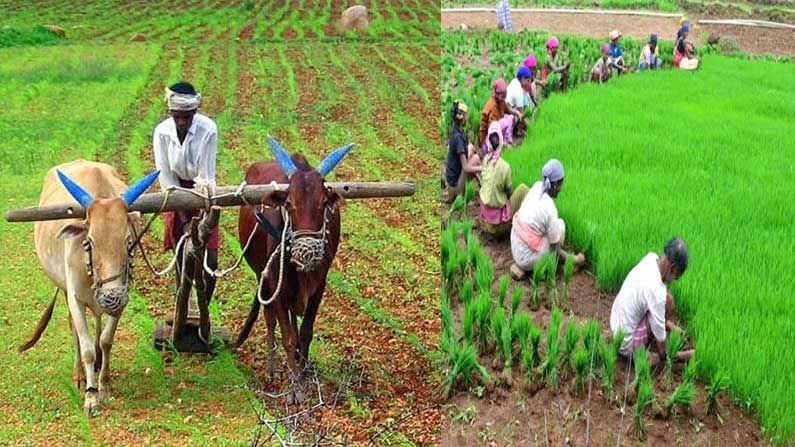 PM Kisan: రైతులకు కేంద్రం గుడ్ న్యూస్.. నేడే తొమ్మిదో విడత పీఎం కిసాన్ సొమ్ము జారీ.. చెక్ చేసుకోండిలా!