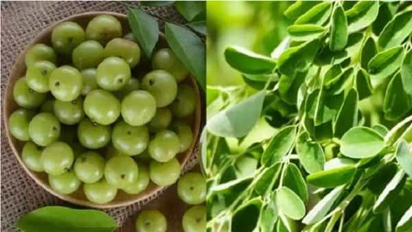 మెంతి, ఉసిరితో కరోనా బహుపరార్..? ఒక్కసారి ట్రై చేయండి..! రిజల్ట్ మీకే తెలుస్తుంది..