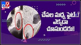 Viral Video: మిలీనియర్ ని చేసిన చెత్తబుట్టలోని లాటరీ టికెట్…అసలేం జరిగిందంటే..?? ( వీడియో )