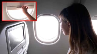 Fact Check: కర్పూరం వాసన పీలుస్తుంటే.. ఆక్సిజన్ లెవెల్స్ పెరుగుతాయా? సోషల్ మీడియాలో చక్కర్లు కొడుతున్న వార్తలో నిజమెంత?