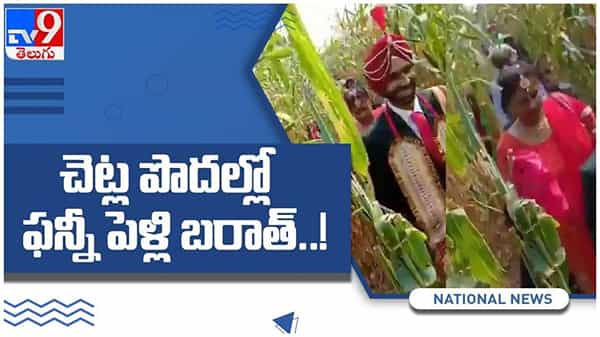 Viral video: లాక్డౌన్ ఎఫెక్ట్... చెట్లపొదల్లో ఫన్నీ పెళ్లి.... ఆశ్చర్యపోతున్న నెటిజన్లు... ( వీడియో )