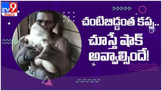 Viral Video: బాల్కానీలో ధూమ్‌ధామ్‌గా పార్టీ..ఇంతలో ఊహించని షాక్‌… ( వీడియో )