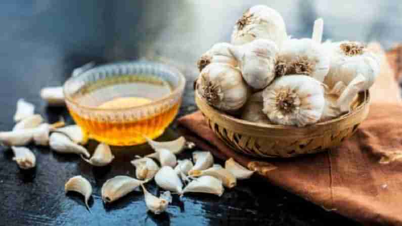 Garlic Water : పరగడుపున వెల్లుల్లి నీరు తాగితే అద్భుత ప్రయోజనాలు..! ఇమ్యూనిటీ పెంచుకోవడానికి చక్కటి మార్గం..