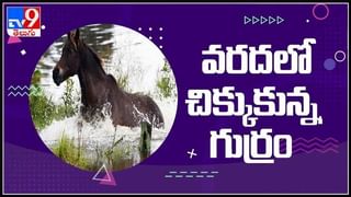 సినీ ఫక్కీలో దోపిడీ ప్లాన్ చేసిన గ్యాంగ్ కు చుక్కలు చూపించిన హోమ్ గార్డ్..! వైరల్ అవుతున్న వీడియో:viral video.