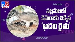 Viral Video: పెళ్లి లో వధువు చేసిన అల్లరి చేష్టలు.. ఫిదా అయిన నెటిజన్లు… ( వీడియో )