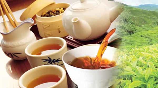 International Tea Day: గ్రీన్ టీ తాగితే బరువు తగ్గుతారా.. పాలు కలిపితే టీ గుణాలు పోతాయా? టీ డే సందర్భంగా కొన్ని విశేషాలు!