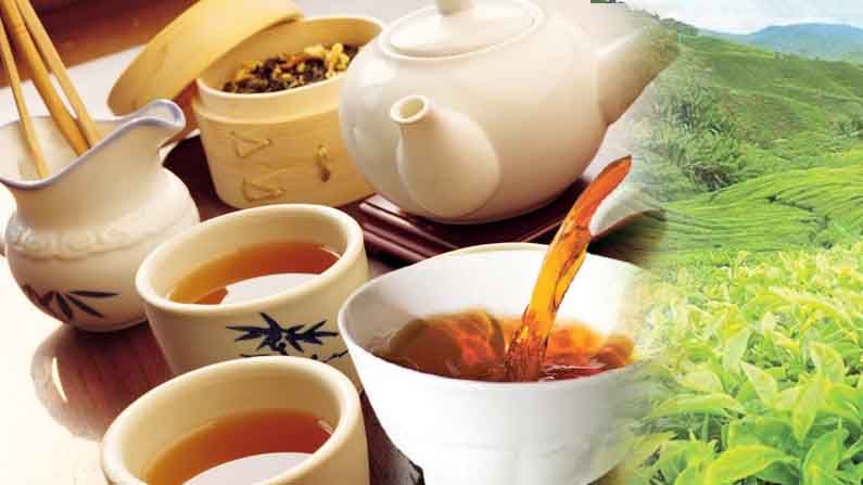 International Tea Day: గ్రీన్ టీ తాగితే బరువు తగ్గుతారా.. పాలు కలిపితే టీ గుణాలు పోతాయా? టీ డే సందర్భంగా కొన్ని విశేషాలు!