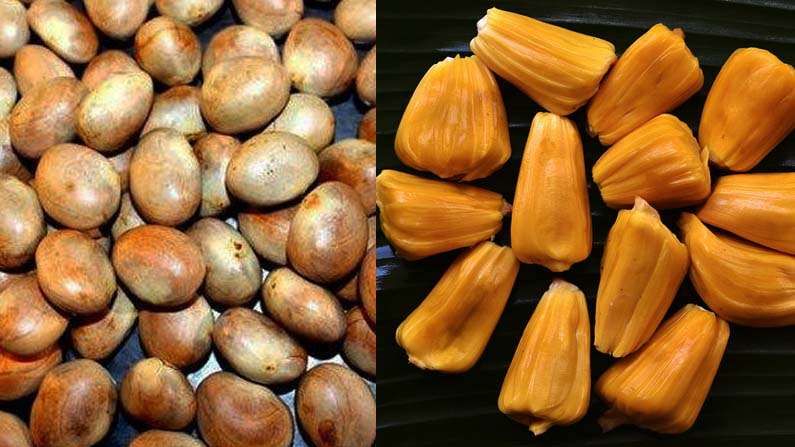 Jackfruit Seeds: పనస గింజలను పడేస్తున్నారా..? అయితే ఆ ప్రయోజనాలన్నీ కోల్పోయినట్లే.. అవేంటంటే..?