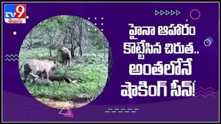 Viral Video: బాల్కానీలో దంపతుల ఫైట్‌.. అంతలోనే ఘోరం.. చూస్తే షాక్ అవ్వాల్సిందే.!