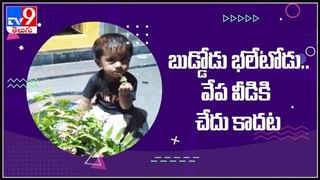 రంకెలేస్తున్న ఎద్దుతో ఫైట్..ఏంట్రా బాబు ప్రాణాలు పణంగా పెట్టి ఫైట్‌. వీడియో సోషల్ మీడియాలో వైరల్‌ ..!Bull Fight Video.