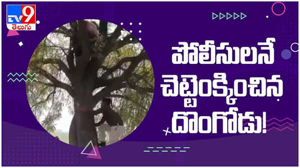 Viral: పోలీసులనే చెట్టెంక్కించిన దొంగ, సోషల్‌ మీడియాలో వైరల్‌గా మారిన వీడియో..