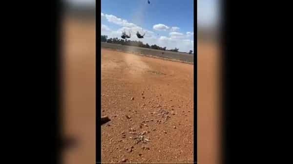 Viral News: ఆకాశం నుంచి ఎలుకల వర్షం.. హడలెత్తిన జనాలు.. అసలు విషయమేమిటంటే..