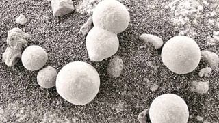 Bio War: బయో వార్ వైపు ప్రపంచం.. వైరస్ లను పెంచుతున్న దేశాలు..ప్రజలకు ఇక క్రిములతో సహజీవనమే!