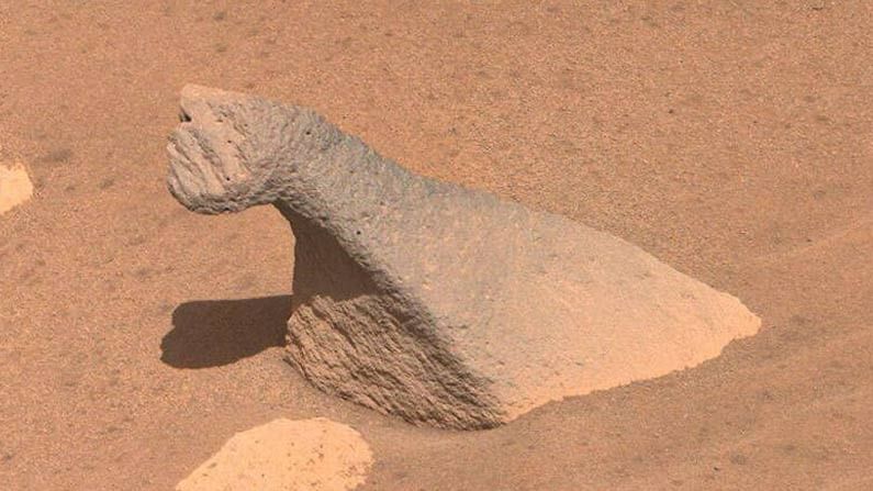 Nasa Perseverance Rover Spots Funny Looking Rocks On Red Planet 2,nasa perseverance rover spots funny looking rocks on red planet, us, nasa, mars, nasa rover perseverance, funny looking rocks, dinausors resemble, .