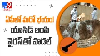 Tirupati By Election Results 2021 Highlights: తిరుపతి ఉప ఎన్నిక ఫలితాలు.. వైసీపీ అభ్యర్థి గురుమూర్తి ఘ‌న‌విజయం