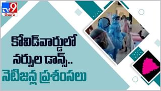 Viral Video: గున్న ఏనుగు కితకితలు… చూస్తే ఫిదా అవ్వాల్సిందే…. ( వీడియో )
