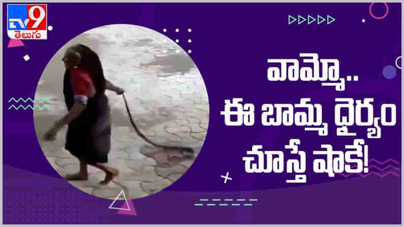 Viral Video: నాగుపామా..? అయితే నాకేంటి...షాకిచ్చిన బామ్మ ఒళ్లు గగుర్పొడిచే వీడియో...