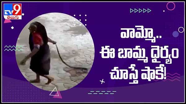 Viral Video : నాగుపామా..? అయితే నాకేంటి...షాకిచ్చిన బామ్మ.వామ్మో ఈ బామ్మ ధైర్యం చుస్తే షాక్ అవ్వాల్సిందే..(వీడియో).