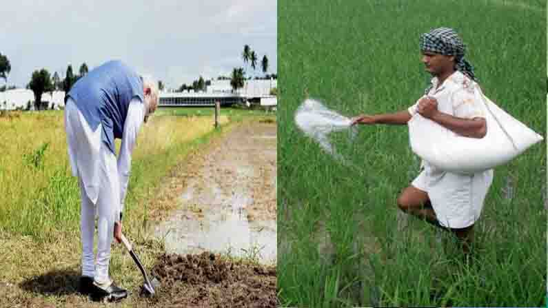 Farmers Good News: దేశవ్యాప్తంగా రైతులకు గుడ్‌న్యూస్..  డీఏపీ ఎరువుపై సబ్సిడీ 140% పెంపు.. బస్తా ధర రూ. 1,200