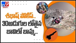 Elephant attacks truck video : ఏనుగుకు చిర్రెత్తితే ఇలానే ఉంటుంది..ట్రక్ డ్రైవర్ చేసిన పనికి సహనాన్ని కోల్పోయిన ఏనుగు..(వీడియో).