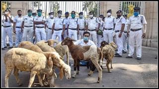 బెంగాల్ సీఎం మమతా బెనర్జీకి చుట్టుకున్న నారదా కేసు,  ప్రతివాదిగా చేర్చాలంటూ కలకత్తా హైకోర్టులో సీబీఐ పిటిషన్