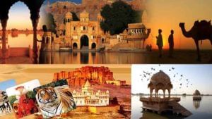 Rajasthan: రాజస్థాన్ ప్రభుత్వ భారీ ఆలోచన..30 కోట్ల ఔషధ మొక్కల పంపిణీకి ప్రయత్నాలు