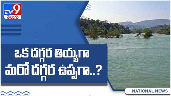 River: ఇండియాలో సముద్రంలో కలవని ఏకైక జీవనది ఇదే..! నీరు ఒక దగ్గర తియ్యగా మరో దగ్గర ఉప్పగా..? ( వీడియో )