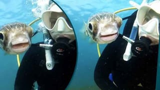 Mumbai Rains: ఆమెకు ఇంకా భూమి మీద నూకలు ఉన్నాయి.. వామ్మో రెప్పపాటులో తప్పించుకుంది.. ఎలానో చూడండి..