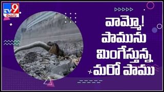 Kadapa : కడపలో పోలీస్‌ ఓవరాక్షన్‌ కర్ఫ్యూ సమయంలో బయటకి వచ్చిన యువకుడిపై లాఠీతో వీరంగం వీడియో.