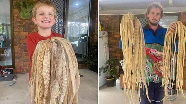Viral News: పాము ఉందన్న సమాచారంతో టెర్రస్ పైకి వెళ్లిన స్నేక్ క్యాచర్... మైండ్ బ్లాంక్