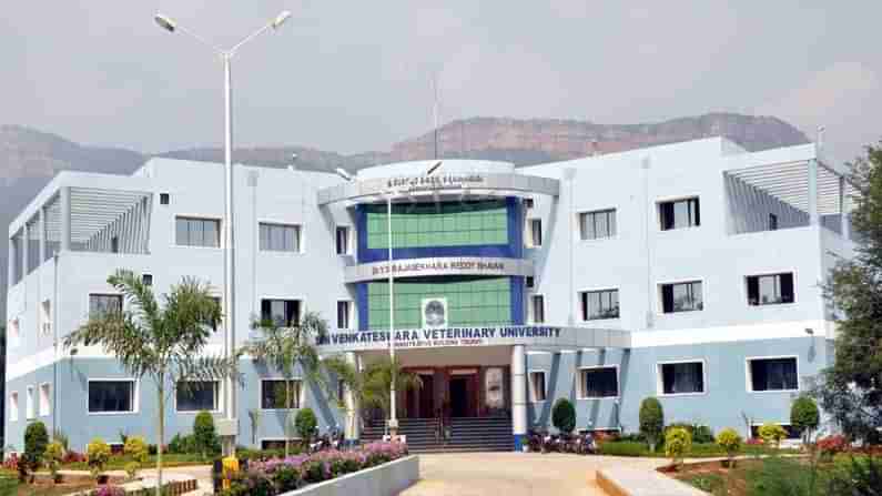 SVVU Tirupati Recruitment: తిరుప‌తి వెంక‌టేశ్వ‌ర వెట‌ర్న‌రీ యూనిర్సిటీలో ఉద్యోగాలు.. ల్యాబ్ టెక్నీషియ‌న్స్ పోస్టుల భ‌ర్తీ..